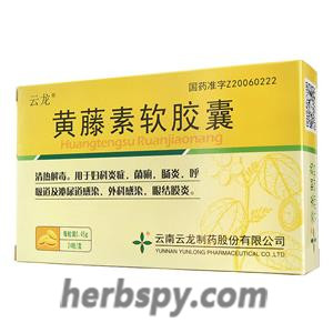 Huangtengsu Ruanjiaonang for gynecological inflammation or bacillary dysentery or conjunctivitis